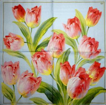 055 Tulips - 3-ply (cream) - Ihr